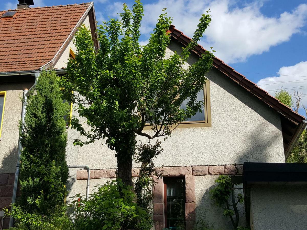 Ferienhaus Am Kirchberg Kurort Steinbach-Hallenberg Exterior photo
